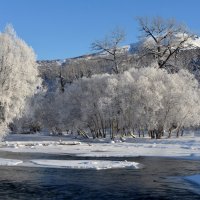 Мороз и солнце... :: Юрий Приходько