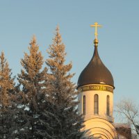 В золотом свете :: Алексей Масалов