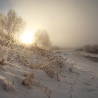 зимний сон :: Дамир Белоколенко