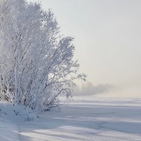 Белиссимо... :: Александр 