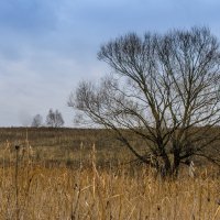 осень :: Александр 