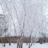 Иркутск зимний :: alemigun 