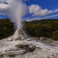 Lady Knox- Geyser-Wai-O-Tapu :: Светлана Шакирзянова