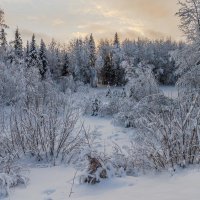 зимний этюд :: Георгий Кулаковский