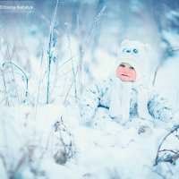 Зима :: Наталья Блицена