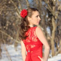 Lady in Red :: Александр Гудзь