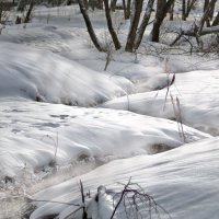 не замерзающий ручей :: Владимир Матва