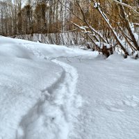 тропинка :: Натали Зимина