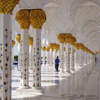 Белоснежная мечеть Абу-Даби :: Vasiliy V. Rechevskiy