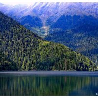 Озеро Рица- Кавказа царица :: Дмитрий Илюхин