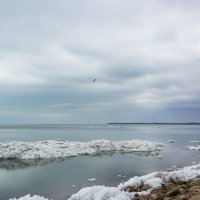 В ожидании весны :: Игорь Чиканенко