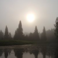 Утренний туман :: Алексей Шалагинов