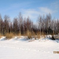 между небом и снегом :: Леонид Виноградов