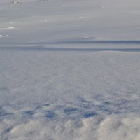 снежное поле :: Ксения Десятова