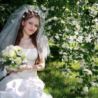 Свадьба Альбины и Игоря :: Евгения Суркова