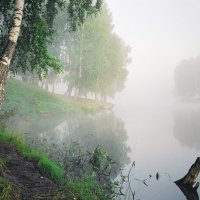 Времена года   август туман :: Сергей Коновалов