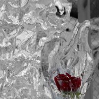 Ледяная роза :: Анастасия Стародубцева