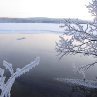 Ветви над водой.. :: Галина Полина