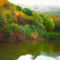 Осеннее настроение :: Фотограф Дарья Скугарева