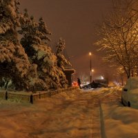Снежный вечер :: demyanikita 