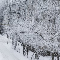 Дорога домой :: Алина 