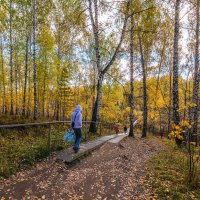 Осенняя дорога на дачу. 29.09.2012. Canon EOS 5D Mark II, Sigma 12-24mm. :: Vadim Piottukh 