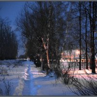 В ТЕМНОЕ ВРЕМЯ СУТОК. :: Юрий Ефимов