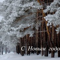 С Новым годом! :: Сергей Кузнецов