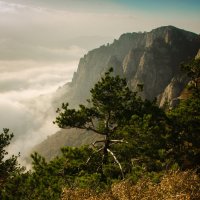 В лучах заката :: Андрей Перевозчиков