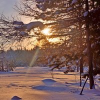 Зимний луч :: Галина Подлопушная