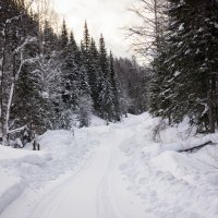 Зимняя дорога. :: Сергей Бурнышев