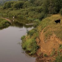 На природе :: Владимир Максимов