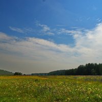 Жара,июль. :: Владимир Михайлович Дадочкин