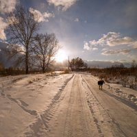 сопроводитель :: Дамир Белоколенко