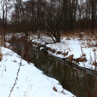 Вода и Снег. :: Виталий Батов