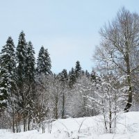 по дороге в Гузерипль... :: Евгений Артемьев