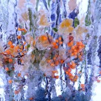 Цветы в ледяной глыбе :: Валерия Яскович