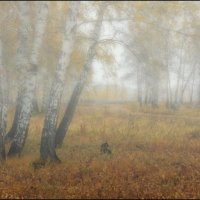 Призрачный лес :: Сергей Бережко