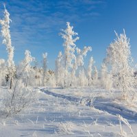 Чудесный день. :: Kassen Kussulbaev