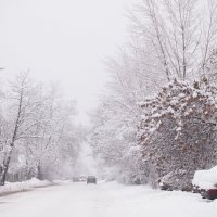 Первый снег в новом году 5.01.15 :: БОРИС ЯКИНЦЕВ 
