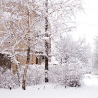 Ну наконец-то дождались :: БОРИС ЯКИНЦЕВ 