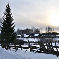 Деревенское зимнее безмолвие. :: Андрей В.