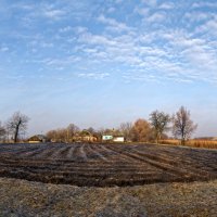 Студеным дыханьем наполнено утро :: Лидия Цапко