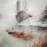 Туман :: Vsevolod 