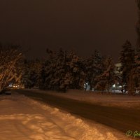 Зимняя ночь. :: Гетта G