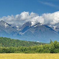 Алтай :: Николай Танаев