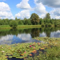 Лето. Кострома :: Наталья Арефьева