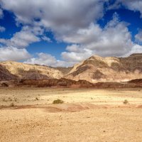 Тимна парк, пустыня Арава, Израиль :: Владимир Горубин