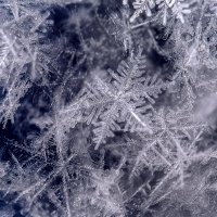 снег :: Андрей Иванов