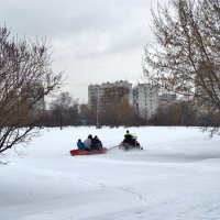 катание на санях... :: Валентина. .